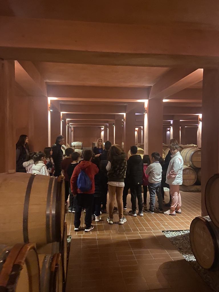 Εκπαιδευτική επίσκεψη στο οινοποιείο του κτήματος ΑΛΦΑ και στην Ι. Μονή Αγίων Παντελεήμονα και Ευβούλης Αμυνταίου