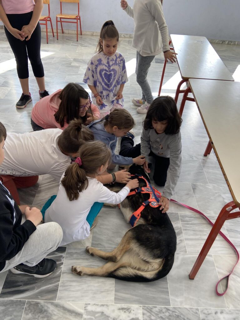 Ο Φίλος ο καλύτερός μας σκύλος!