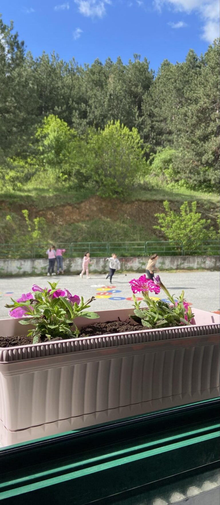 Καλλωπισμός του σχολείου με λουλούδια