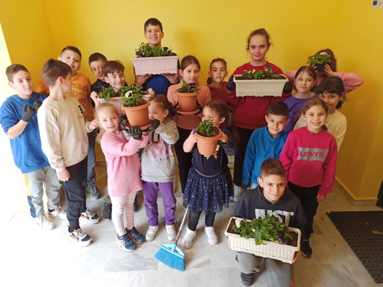 Οι πανσέδες πάνε σχολείο